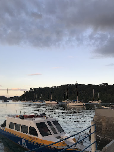 Photo from customer review