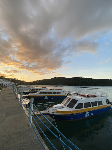 Photo from customer review