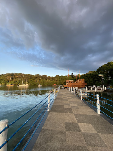 Photo from customer review