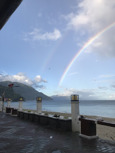 Photo from customer review