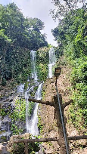 Photo from customer review