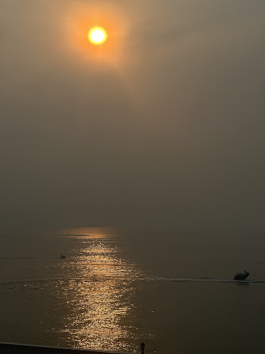 Photo from customer review